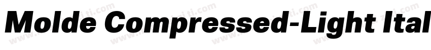 Molde Compressed-Light Italic字体转换